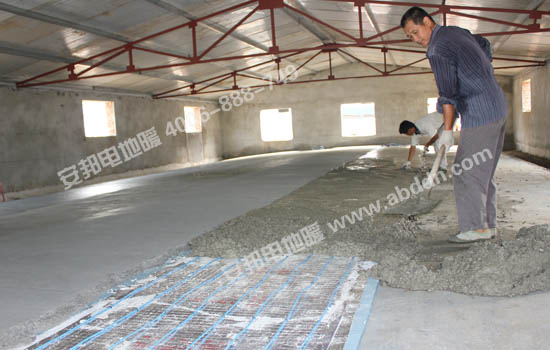 ������������w�l(f��)����|��s5-6CM���ɣ�