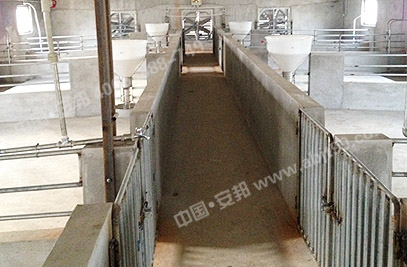 �����B(y��ng)ֳ����(n��i)���ֲ�