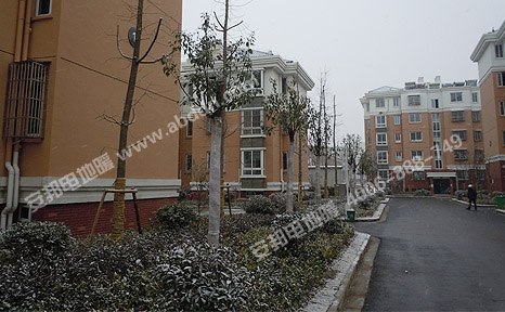 �hУ��^(q��)ѩ����2012��12��26�������b늵�ů��һ������(d��ng)?sh��)������˽񶬵�һ���? width=