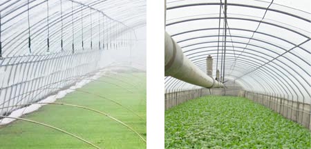 溫室大棚保溫發(fā)熱電纜使用效果