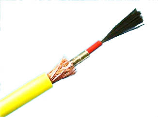 ̼�w�S�l(f��)����|����D