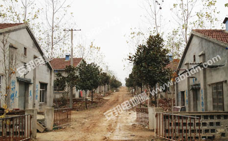 ���վG���B(y��ng)�i��ȫ��