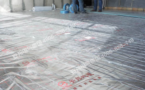 �l(f��)����|���b�F(xi��n)��(ch��ng)