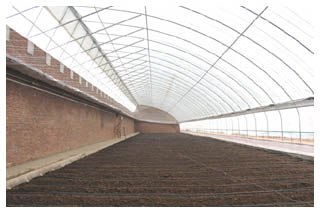 �����ӟ�